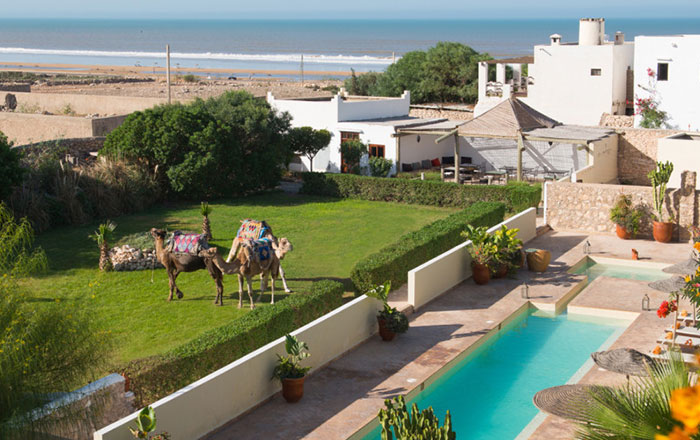 Piscine et jardin Riad de luxe sidi kaouki retraite Boxe et surf